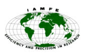 Международная научная конференция Северных стран «IAMFE 2010»